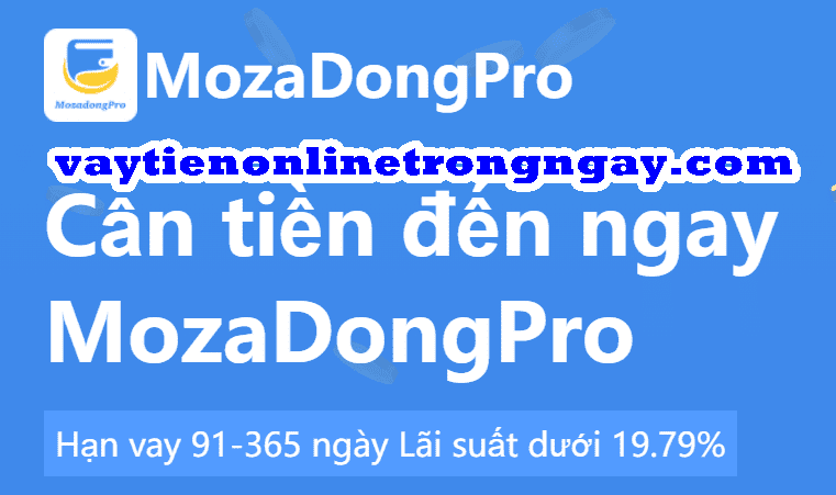 MozadongPro